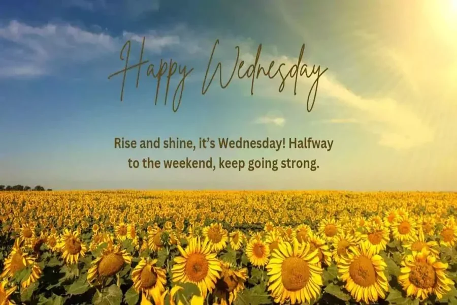 Happy Wednesday Blessings